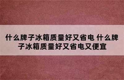 什么牌子冰箱质量好又省电 什么牌子冰箱质量好又省电又便宜